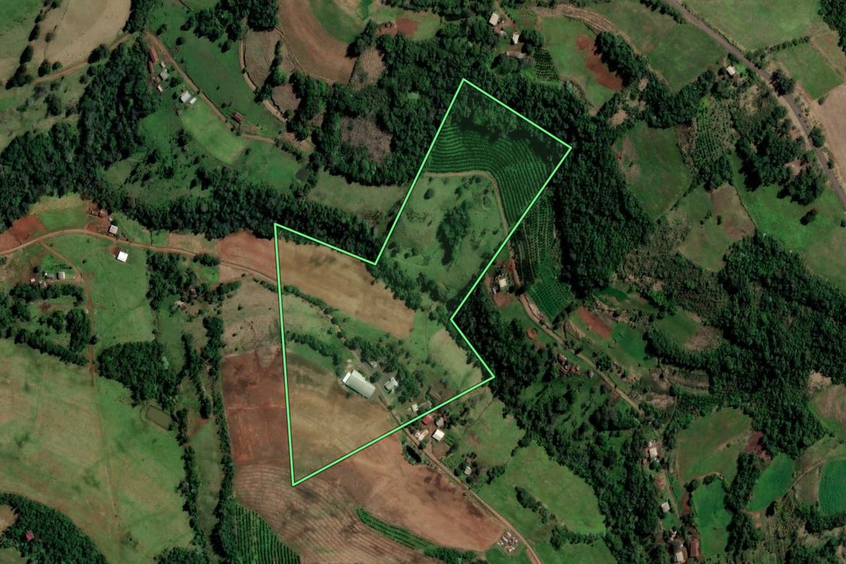 Imagem de satélite do imóvel rural em Planalto (RS), com o contorno declarado no CAR desenhado por cima.
