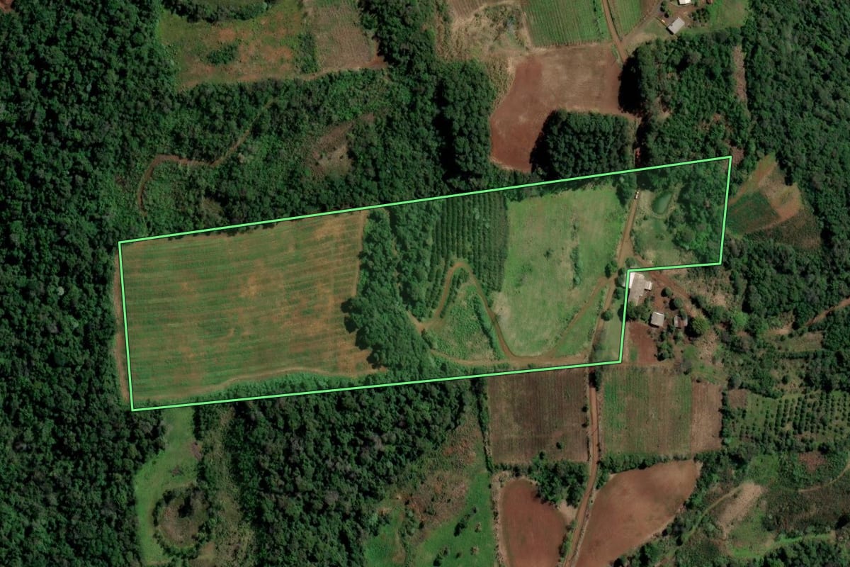 Imagem de satélite do imóvel rural em Planalto (RS), com o contorno declarado no CAR desenhado por cima.