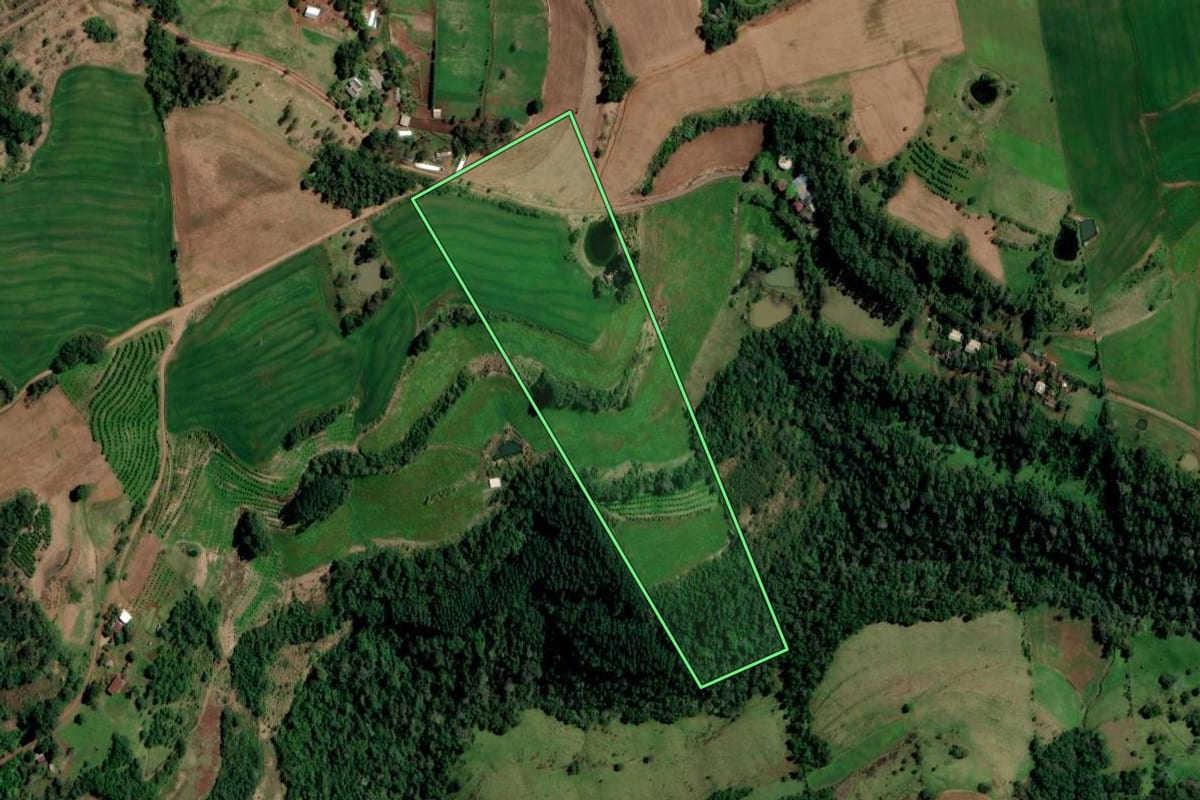 Imagem de satélite do imóvel rural em Planalto (RS), com o contorno declarado no CAR desenhado por cima.