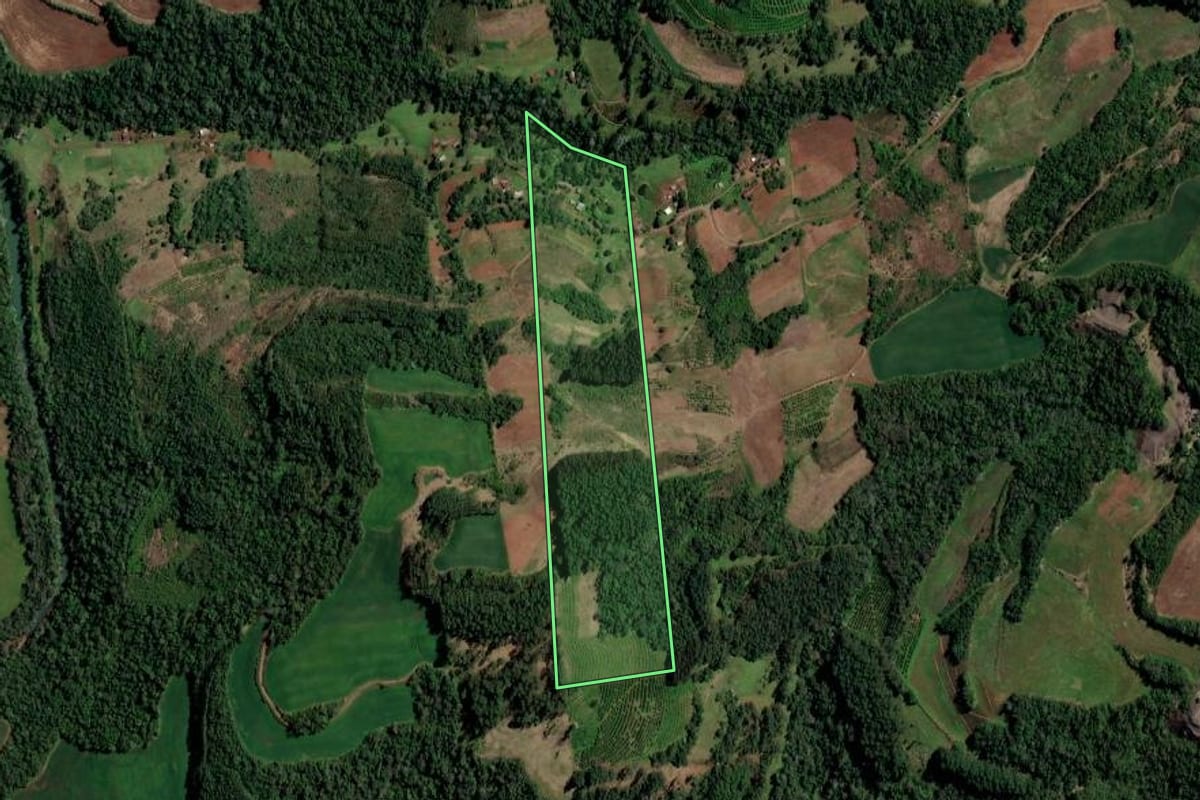 Imagem de satélite do imóvel rural em Planalto (RS), com o contorno declarado no CAR desenhado por cima.