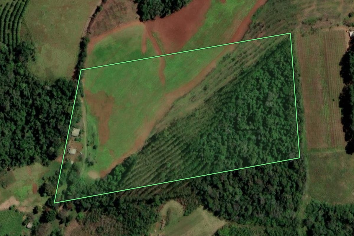 Imagem de satélite do imóvel rural em Planalto (RS), com o contorno declarado no CAR desenhado por cima.
