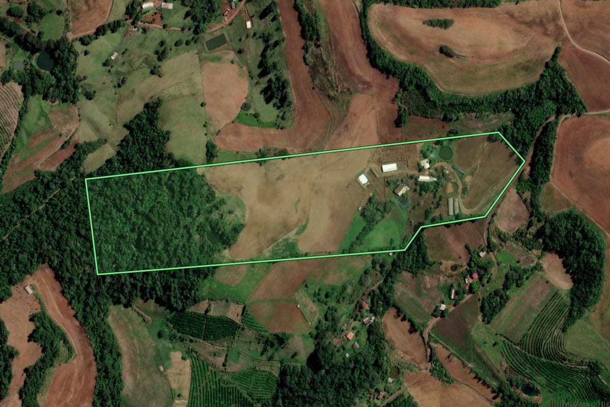 Imagem de satélite do imóvel rural em Planalto (RS), com o contorno declarado no CAR desenhado por cima.