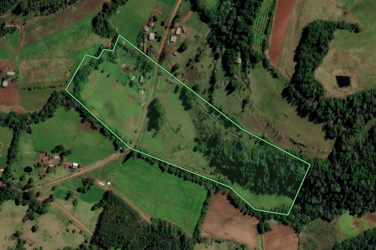 Imagem de satélite do imóvel rural em Planalto (RS), com o contorno declarado no CAR desenhado por cima.