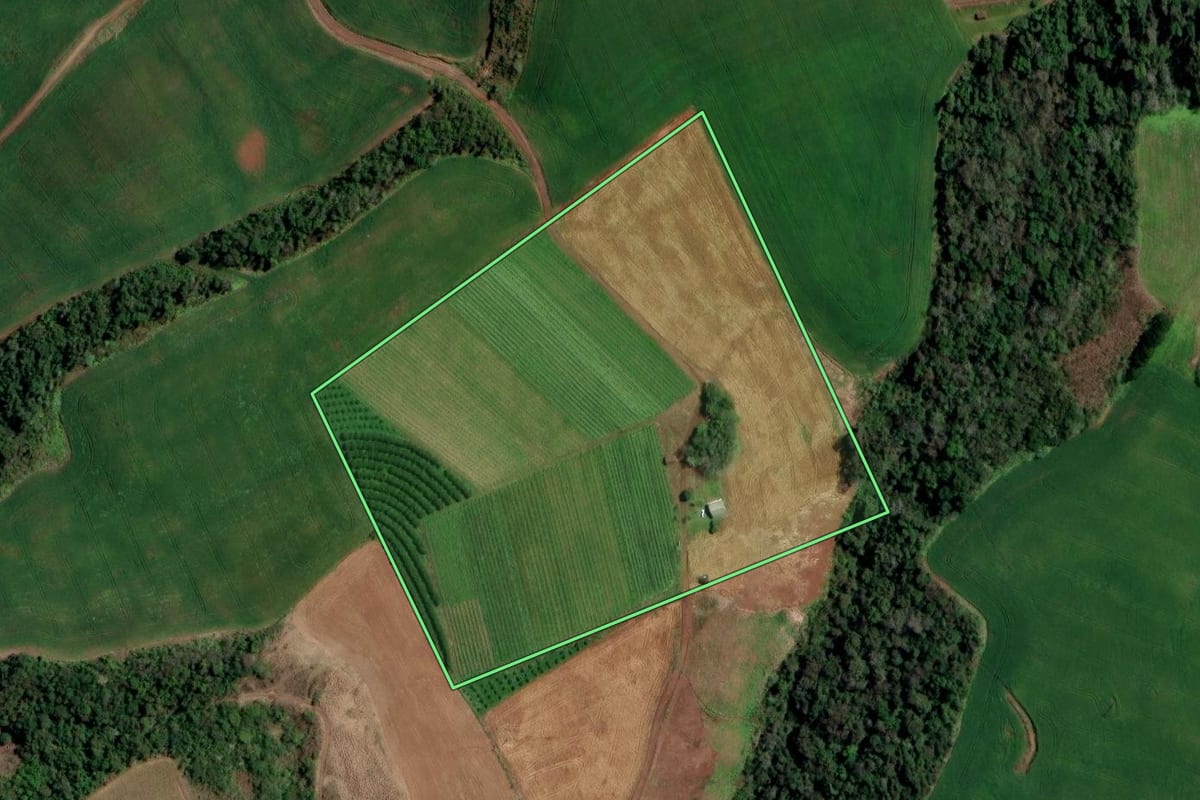 Imagem de satélite do imóvel rural em Planalto (RS), com o contorno declarado no CAR desenhado por cima.