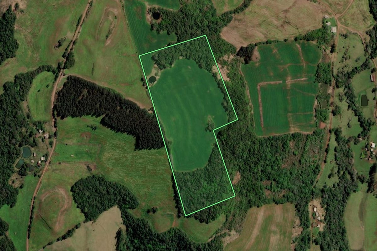 Imagem de satélite do imóvel rural em Planalto (RS), com o contorno declarado no CAR desenhado por cima.