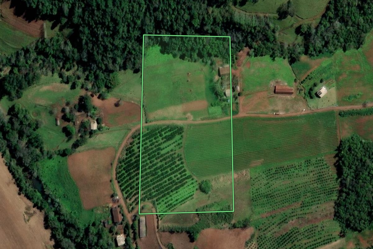 Imagem de satélite do imóvel rural em Planalto (RS), com o contorno declarado no CAR desenhado por cima.