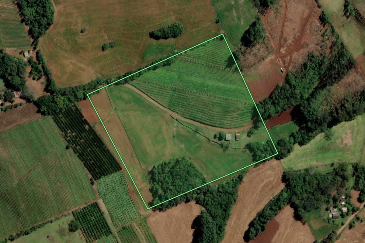 Imagem de satélite do imóvel rural em Planalto (RS), com o contorno declarado no CAR desenhado por cima.