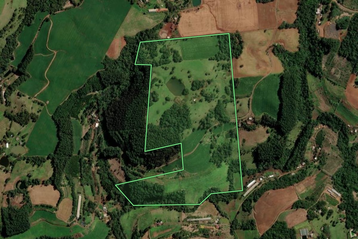 Imagem de satélite do imóvel rural em Planalto (RS), com o contorno declarado no CAR desenhado por cima.
