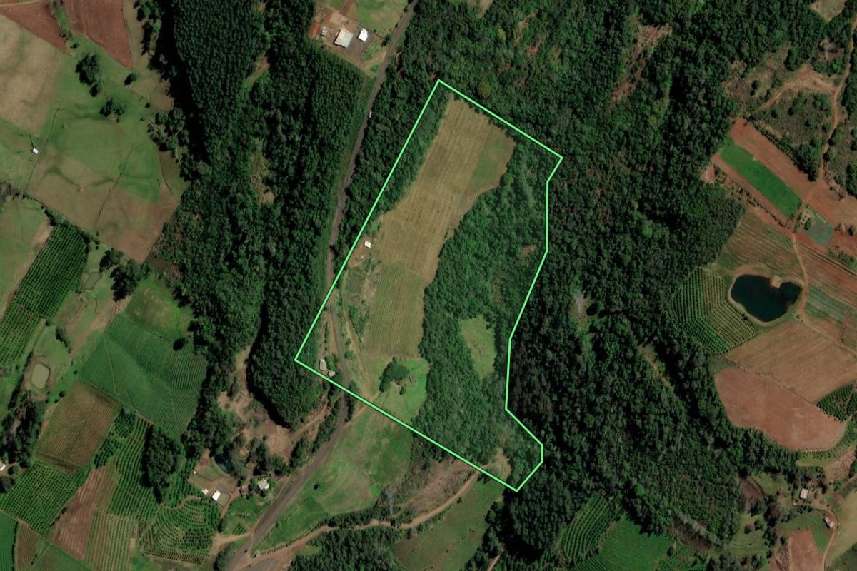 Imagem de satélite do imóvel rural em Planalto (RS), com o contorno declarado no CAR desenhado por cima.