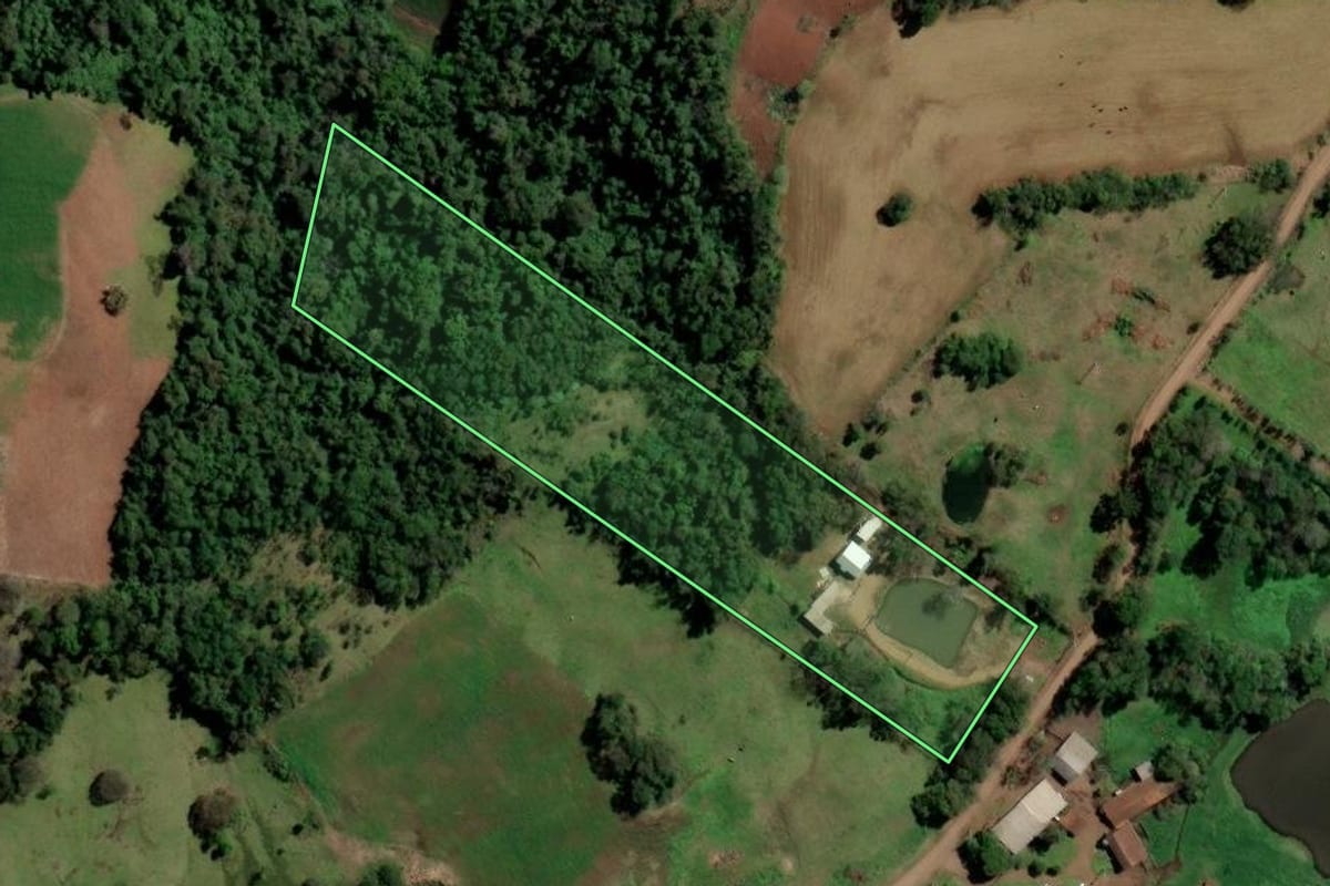 Imagem de satélite do imóvel rural em Planalto (RS), com o contorno declarado no CAR desenhado por cima.