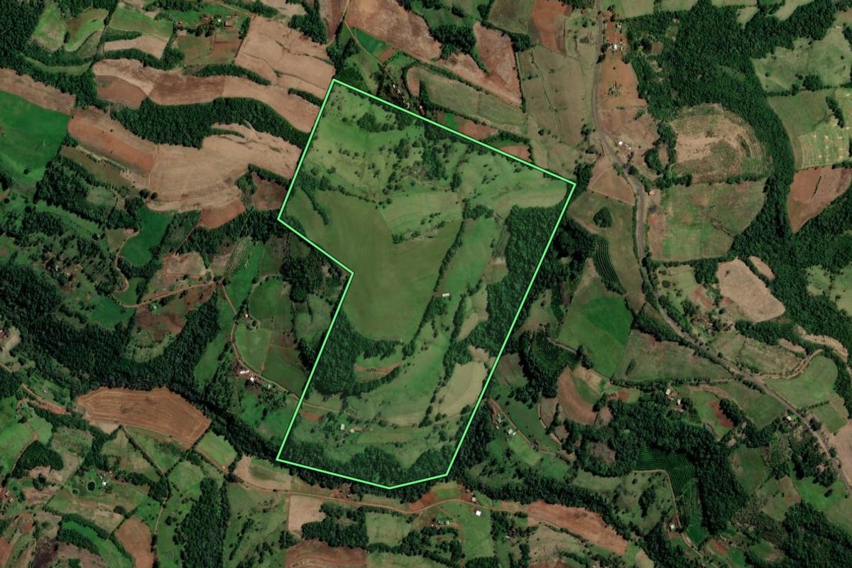 Imagem de satélite do imóvel rural em Planalto (RS), com o contorno declarado no CAR desenhado por cima.