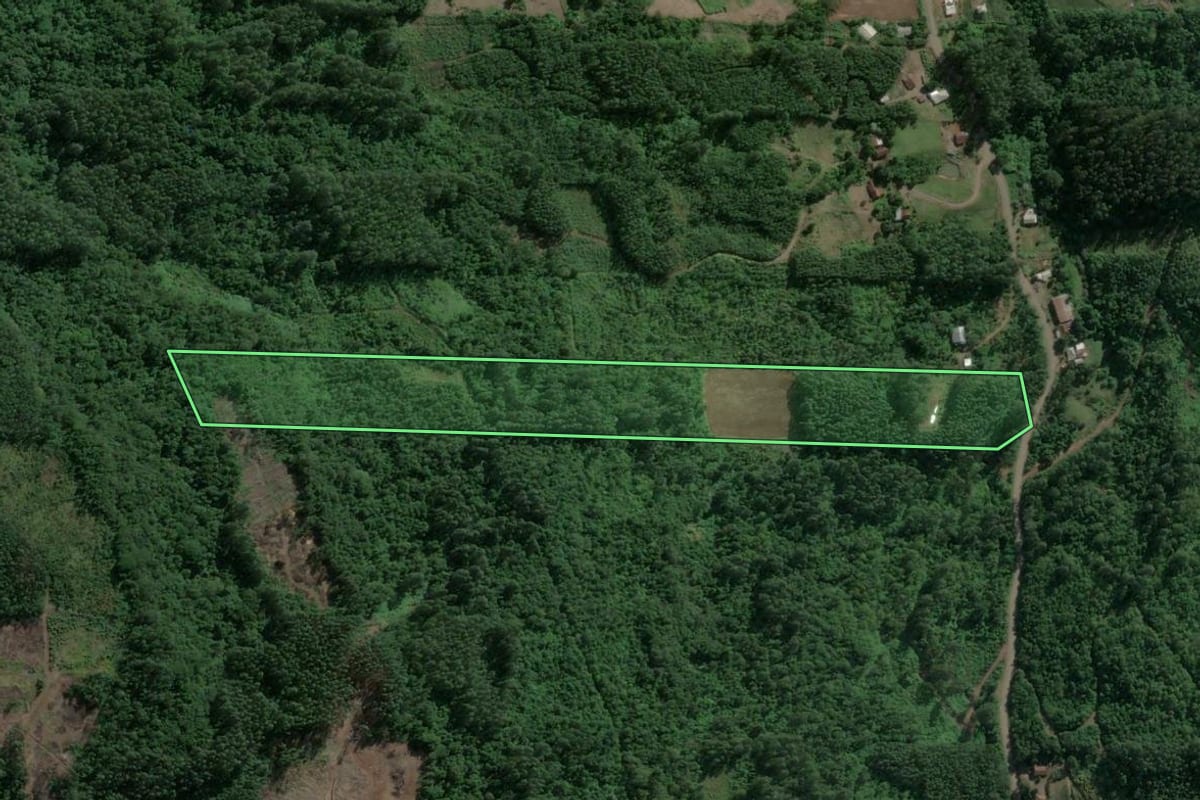 Imagem de satélite do imóvel rural em Poço das Antas (RS), com o contorno declarado no CAR desenhado por cima.