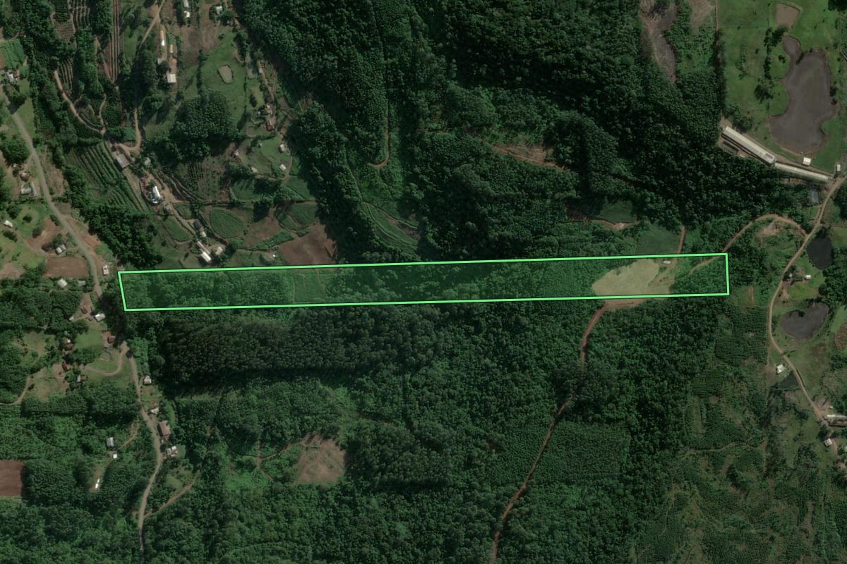 Imagem de satélite do imóvel rural em Poço das Antas (RS), com o contorno declarado no CAR desenhado por cima.