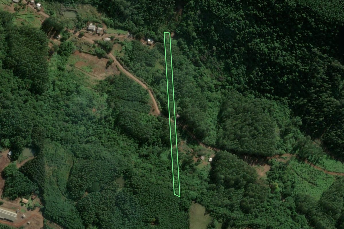 Imagem de satélite do imóvel rural em Poço das Antas (RS), com o contorno declarado no CAR desenhado por cima.