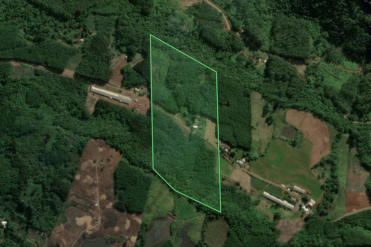 Imagem de satélite do imóvel rural em Poço das Antas (RS), com o contorno declarado no CAR desenhado por cima.