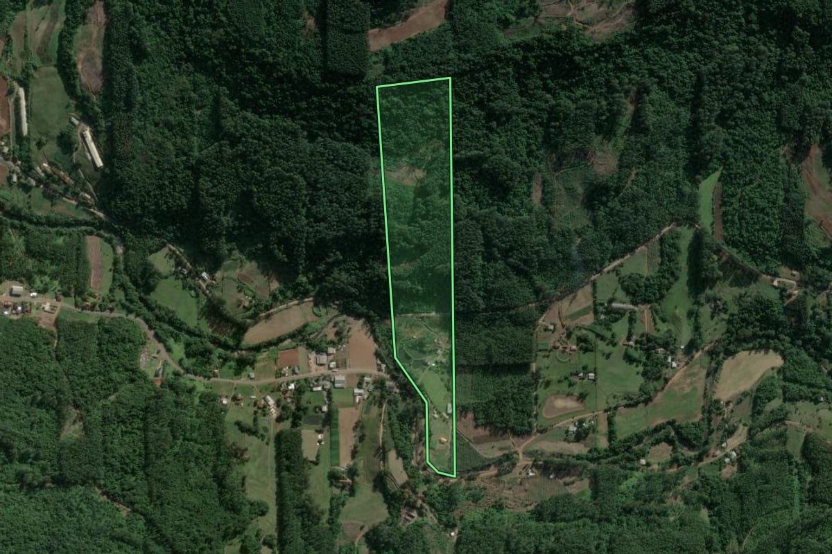 Imagem de satélite do imóvel rural em Poço das Antas (RS), com o contorno declarado no CAR desenhado por cima.