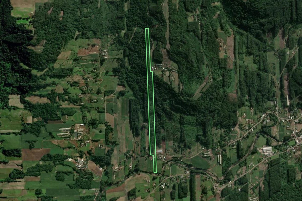 Imagem de satélite do imóvel rural em Poço das Antas (RS), com o contorno declarado no CAR desenhado por cima.