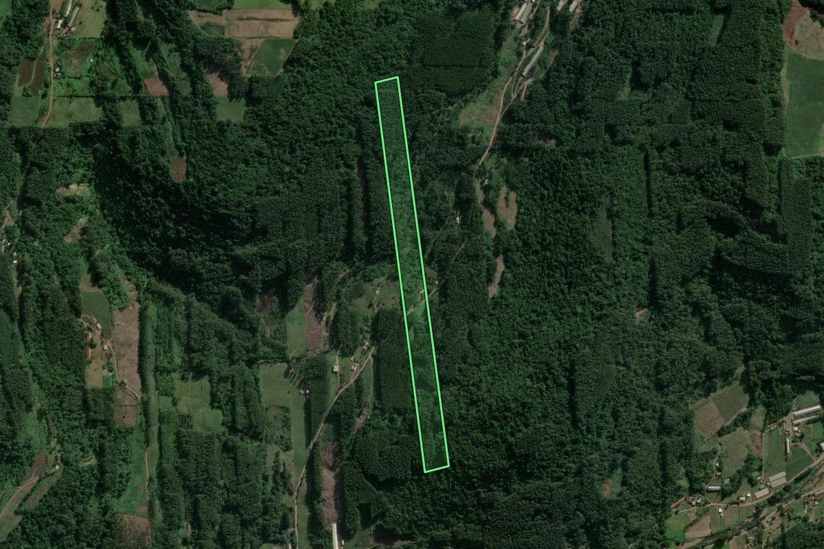 Imagem de satélite do imóvel rural em Poço das Antas (RS), com o contorno declarado no CAR desenhado por cima.