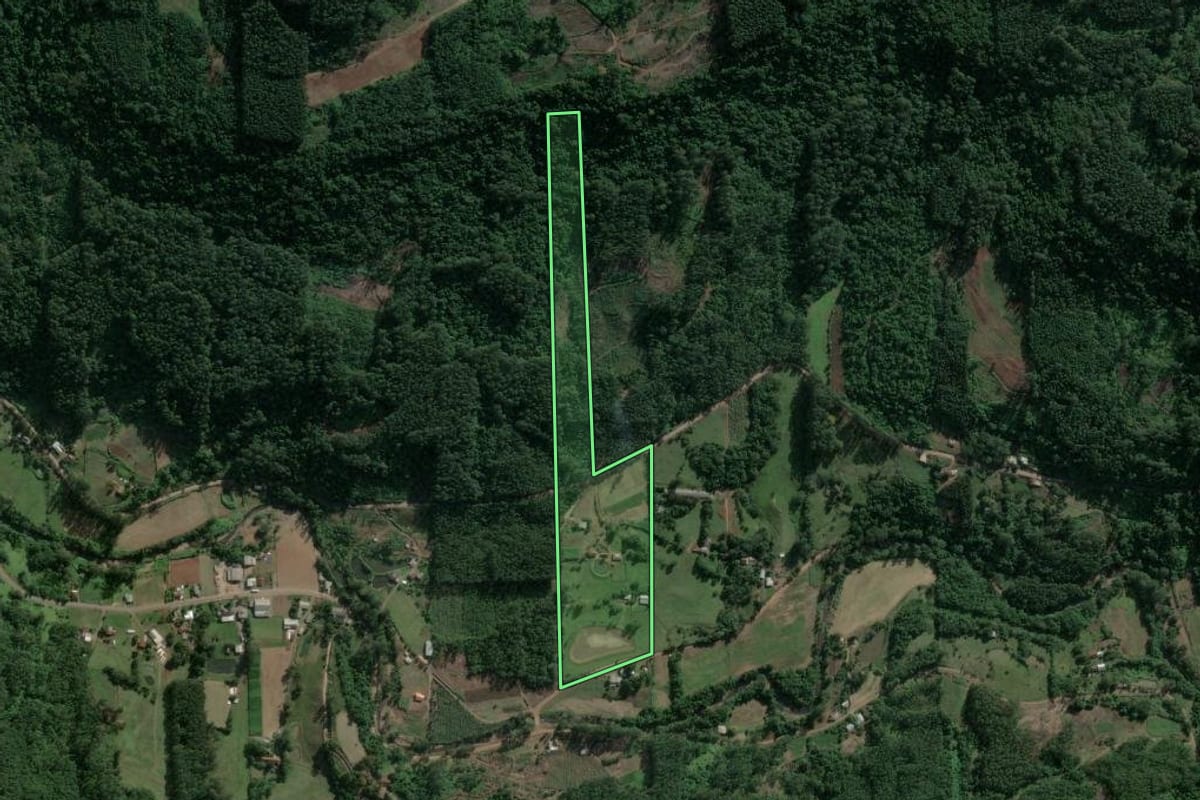 Imagem de satélite do imóvel rural em Poço das Antas (RS), com o contorno declarado no CAR desenhado por cima.