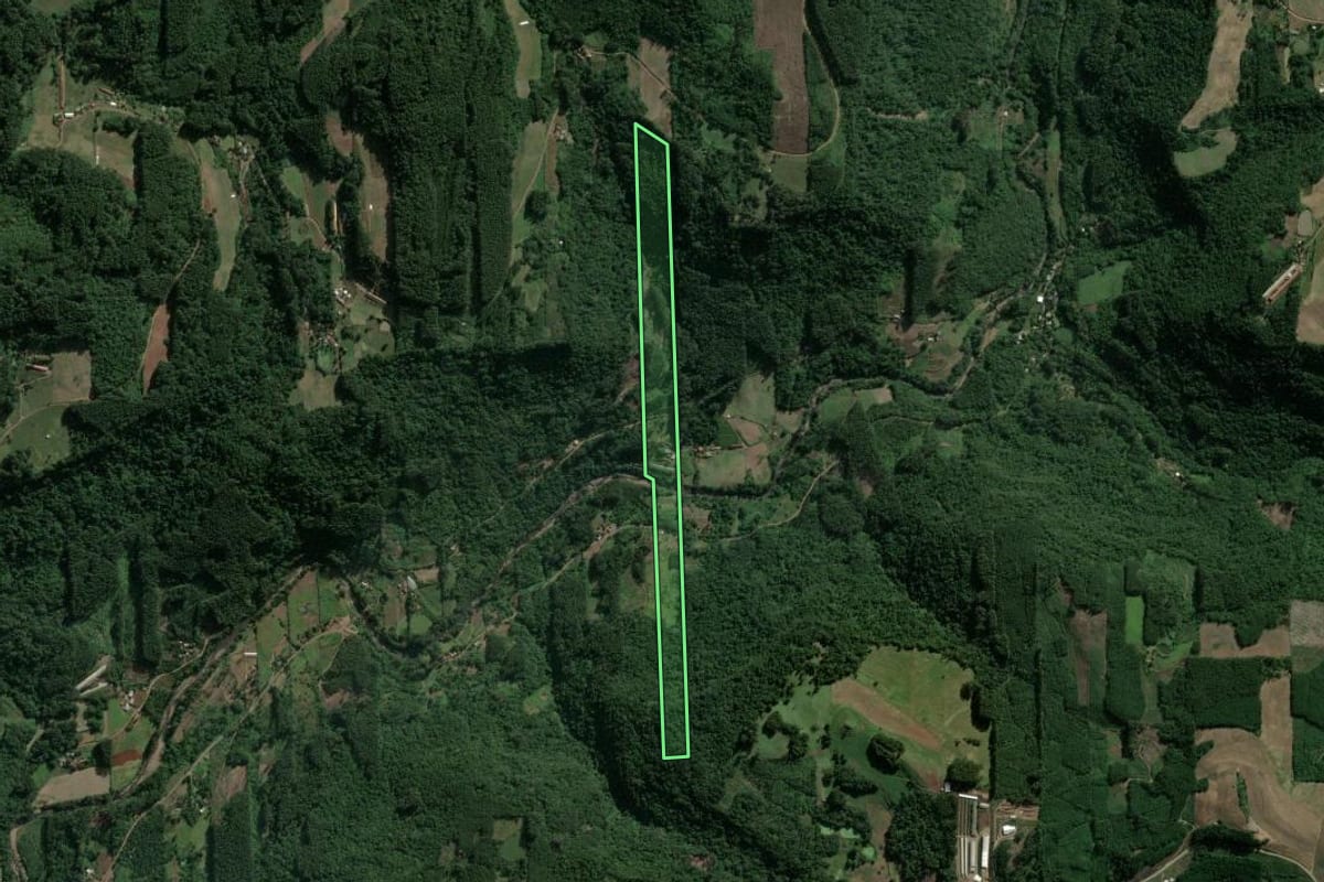 Imagem de satélite do imóvel rural em Poço das Antas (RS), com o contorno declarado no CAR desenhado por cima.