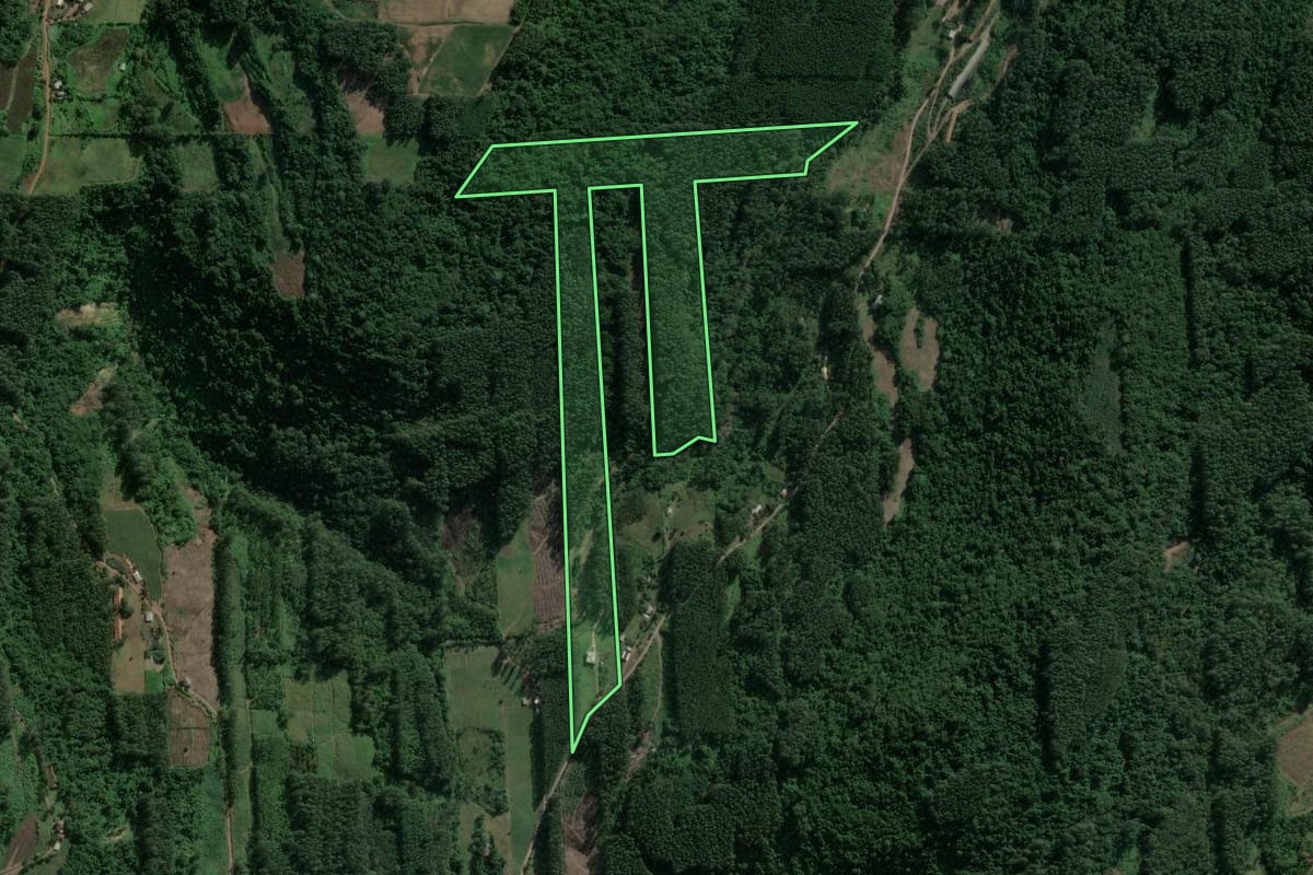 Imagem de satélite do imóvel rural em Poço das Antas (RS), com o contorno declarado no CAR desenhado por cima.