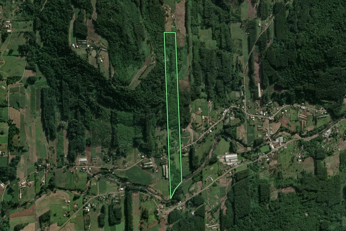 Imagem de satélite do imóvel rural em Poço das Antas (RS), com o contorno declarado no CAR desenhado por cima.