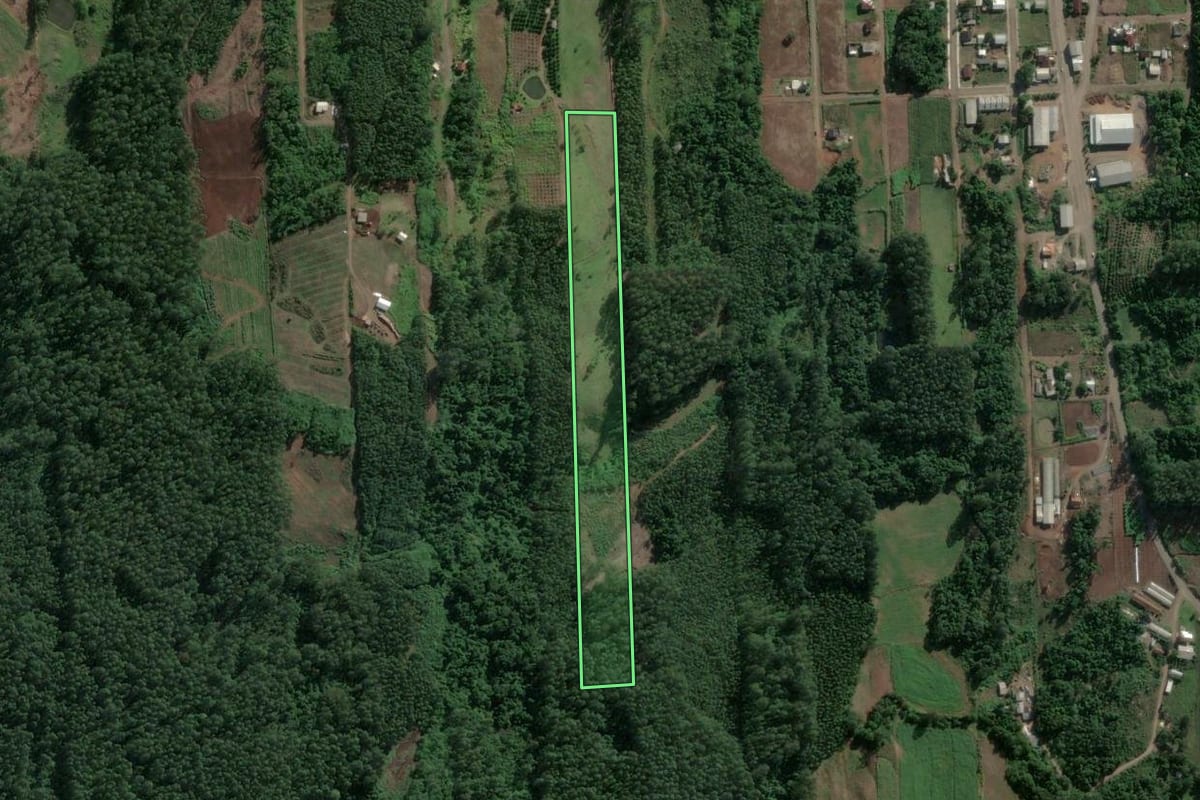 Imagem de satélite do imóvel rural em Poço das Antas (RS), com o contorno declarado no CAR desenhado por cima.