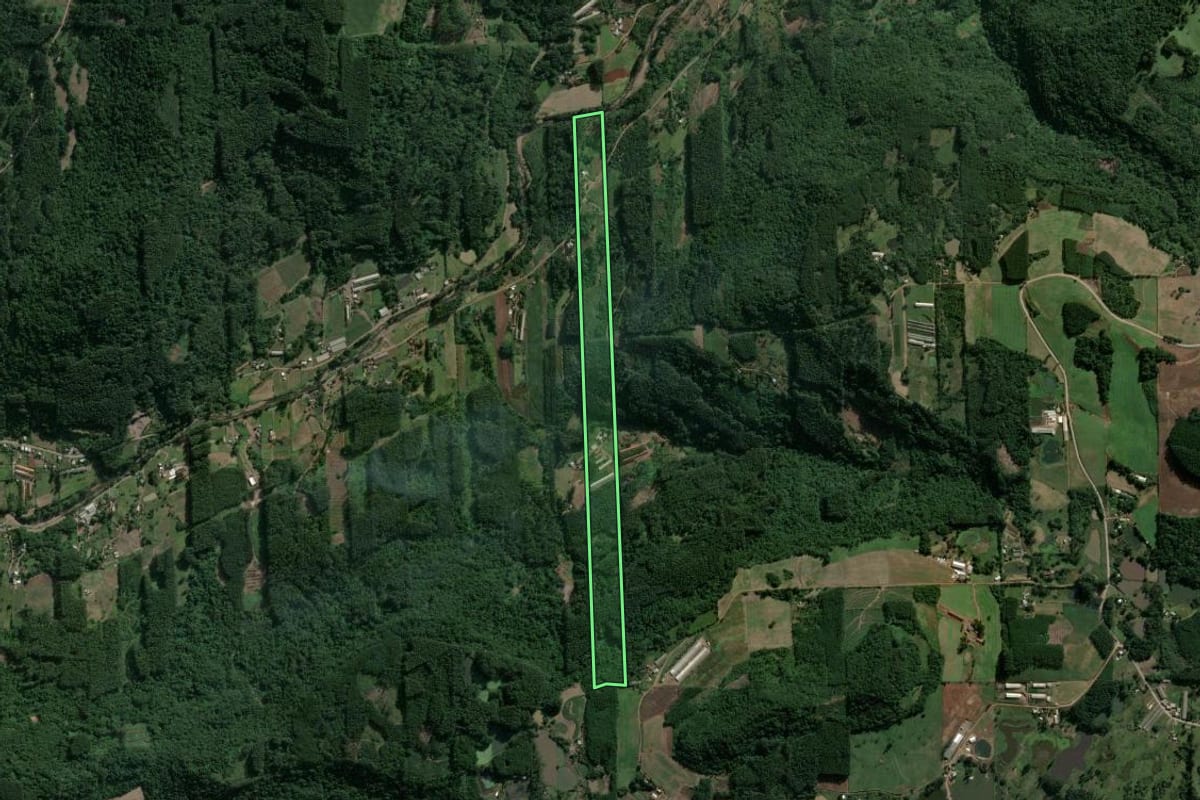 Imagem de satélite do imóvel rural em Poço das Antas (RS), com o contorno declarado no CAR desenhado por cima.