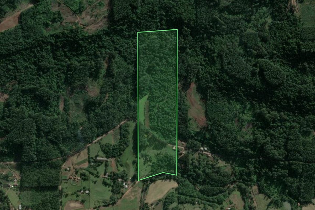 Imagem de satélite do imóvel rural em Poço das Antas (RS), com o contorno declarado no CAR desenhado por cima.