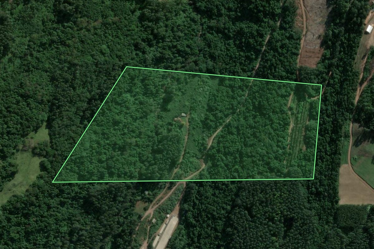 Imagem de satélite do imóvel rural em Poço das Antas (RS), com o contorno declarado no CAR desenhado por cima.