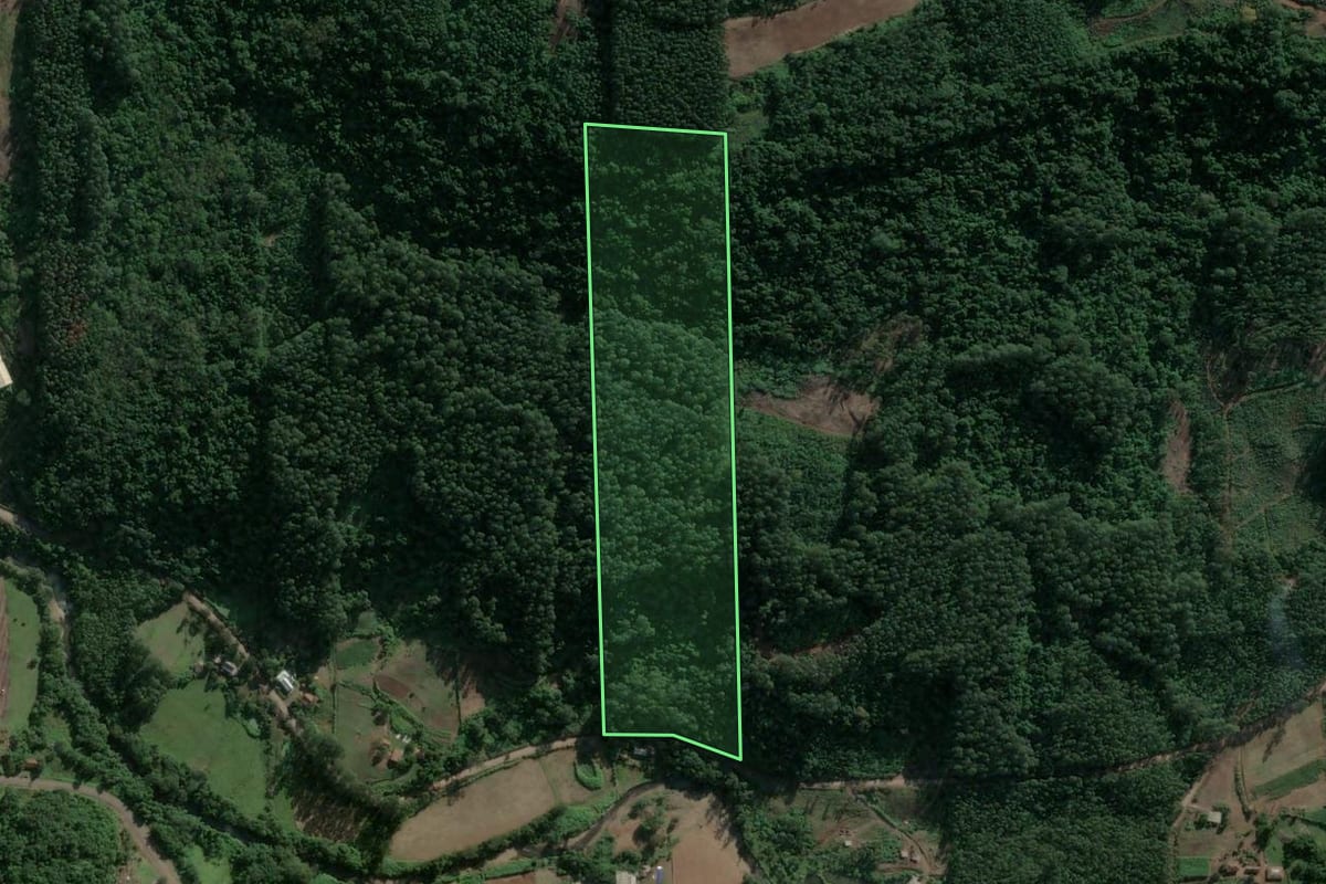 Imagem de satélite do imóvel rural em Poço das Antas (RS), com o contorno declarado no CAR desenhado por cima.