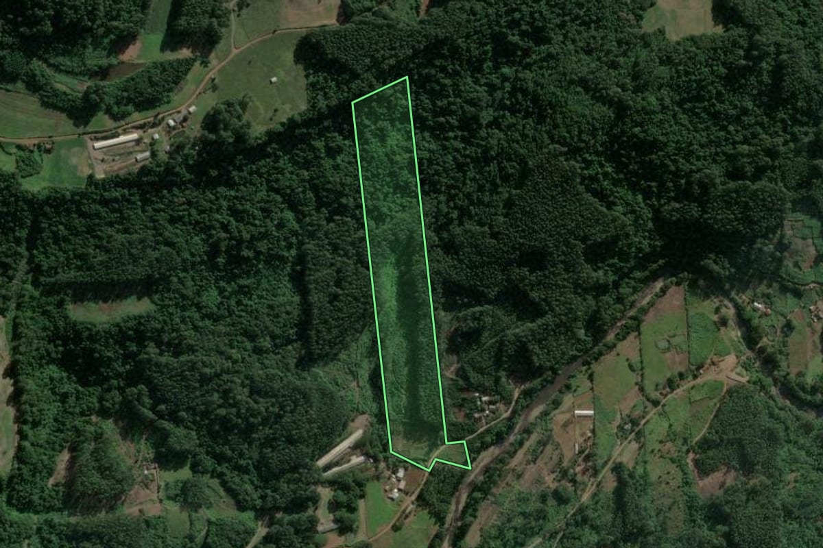 Imagem de satélite do imóvel rural em Poço das Antas (RS), com o contorno declarado no CAR desenhado por cima.