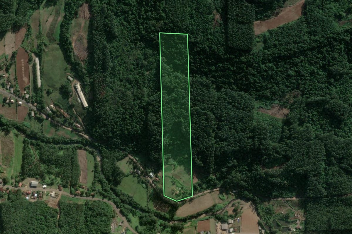 Imagem de satélite do imóvel rural em Poço das Antas (RS), com o contorno declarado no CAR desenhado por cima.
