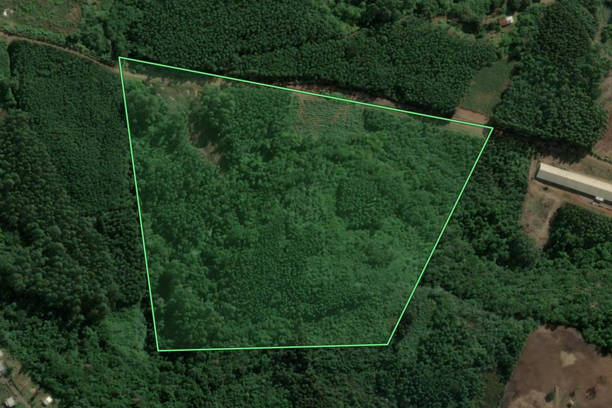 Imagem de satélite do imóvel rural em Poço das Antas (RS), com o contorno declarado no CAR desenhado por cima.