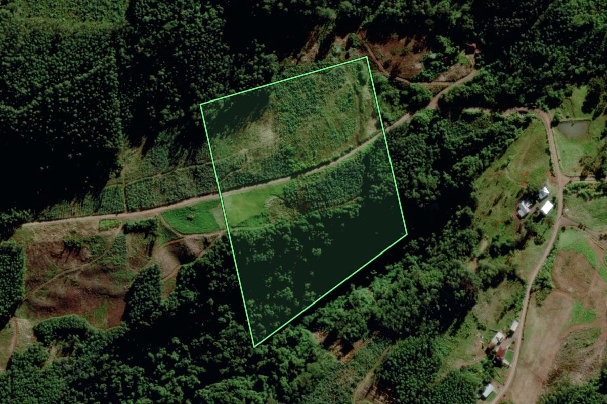 Imagem de satélite do imóvel rural em Poço das Antas (RS), com o contorno declarado no CAR desenhado por cima.