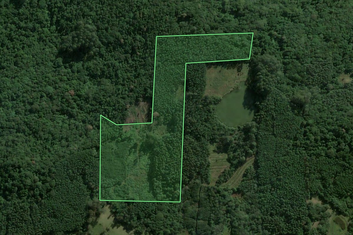 Imagem de satélite do imóvel rural em Poço das Antas (RS), com o contorno declarado no CAR desenhado por cima.