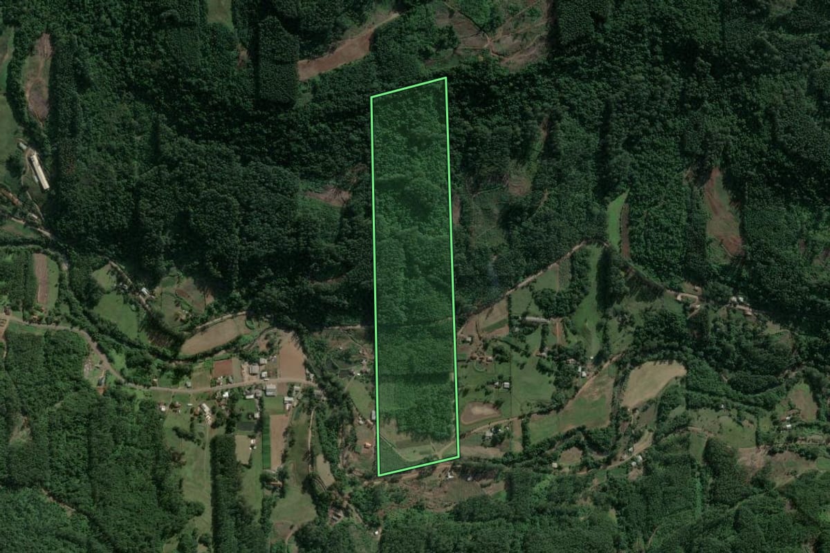 Imagem de satélite do imóvel rural em Poço das Antas (RS), com o contorno declarado no CAR desenhado por cima.