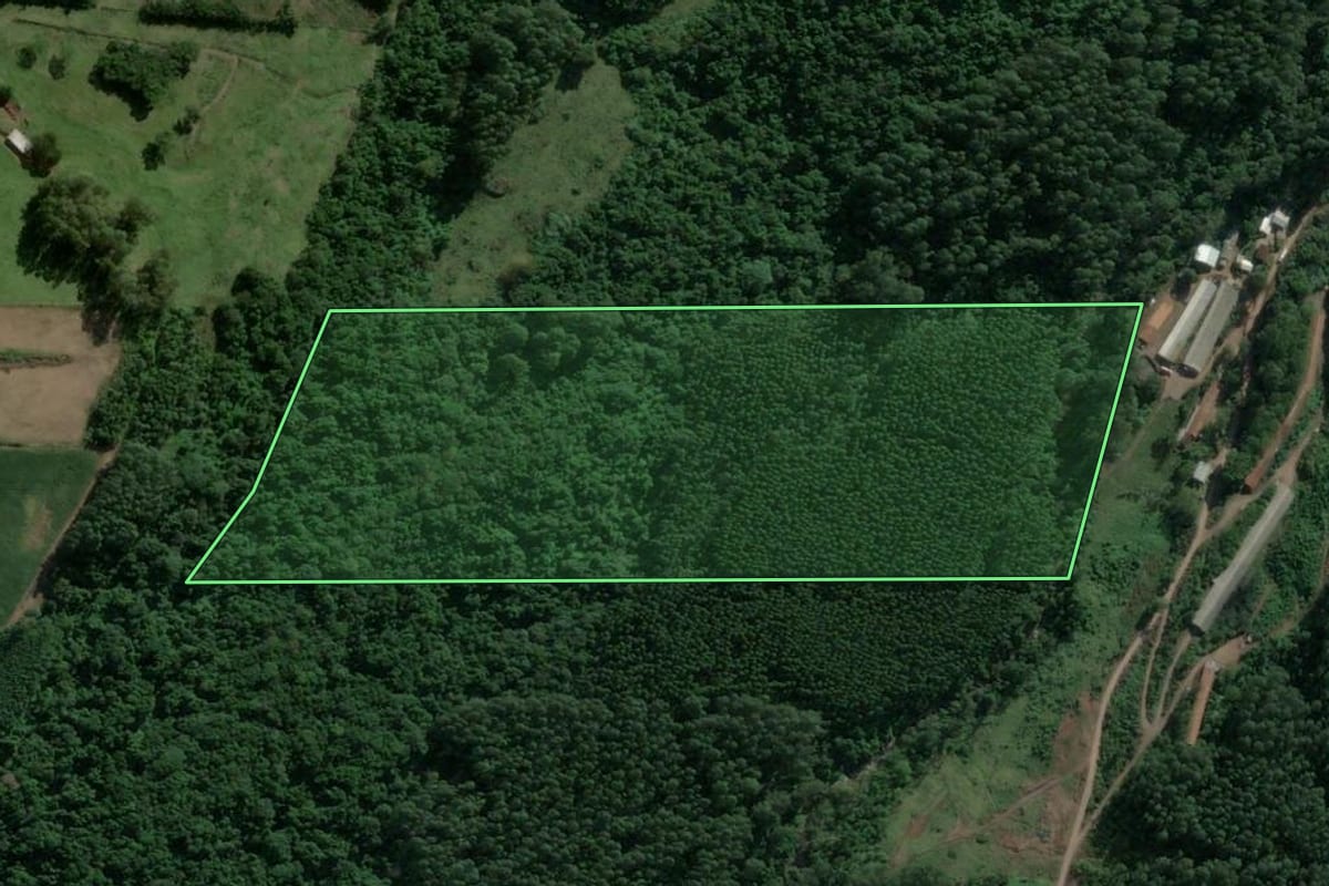 Imagem de satélite do imóvel rural em Poço das Antas (RS), com o contorno declarado no CAR desenhado por cima.