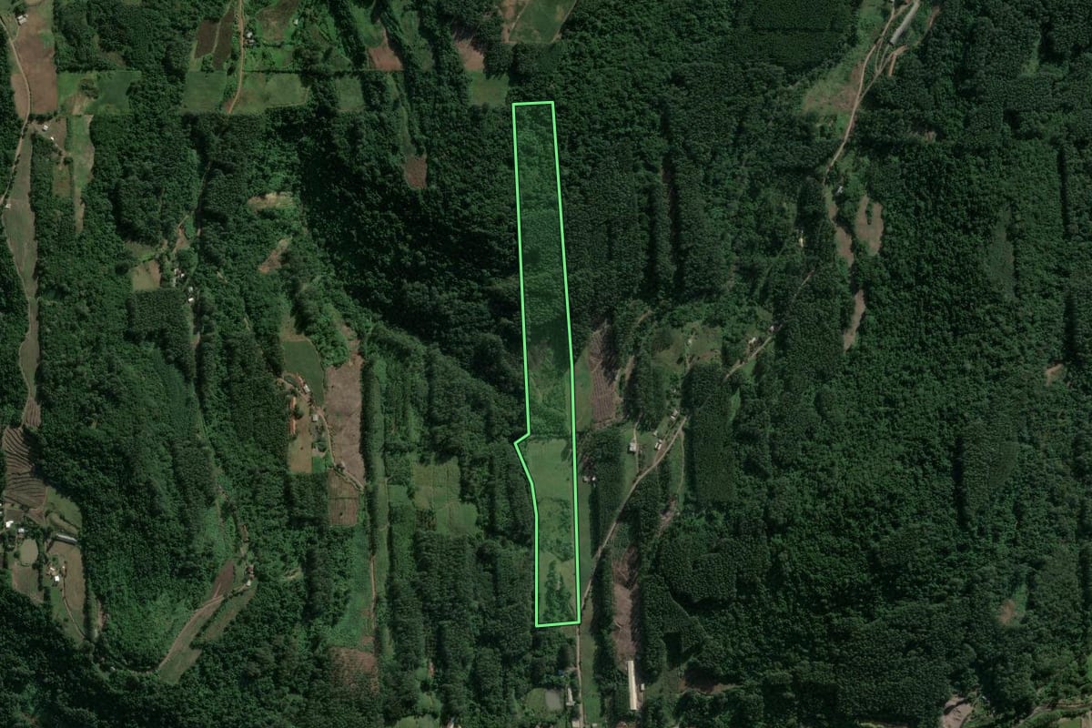 Imagem de satélite do imóvel rural em Poço das Antas (RS), com o contorno declarado no CAR desenhado por cima.