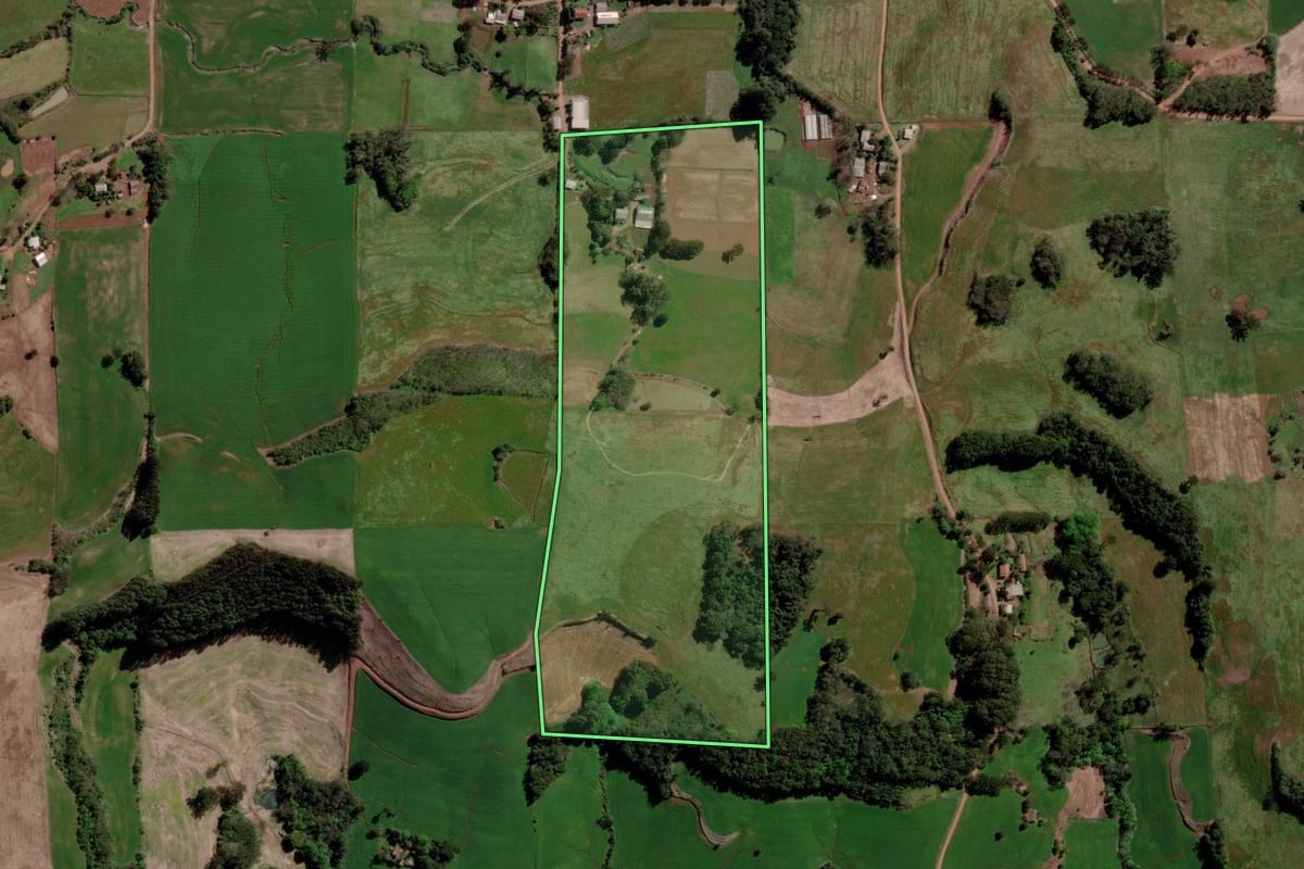 Imagem de satélite do imóvel rural em Ponte Preta (RS), com o contorno declarado no CAR desenhado por cima.