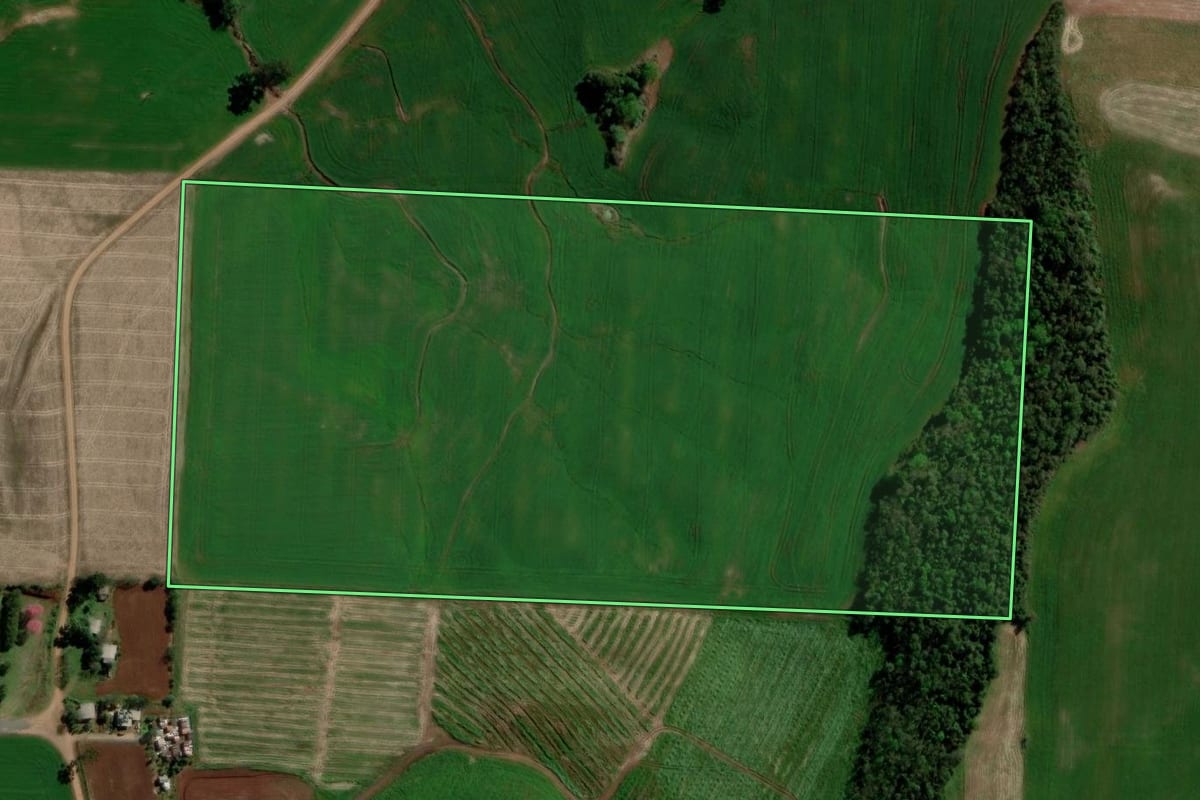 Imagem de satélite do imóvel rural em Ponte Preta (RS), com o contorno declarado no CAR desenhado por cima.