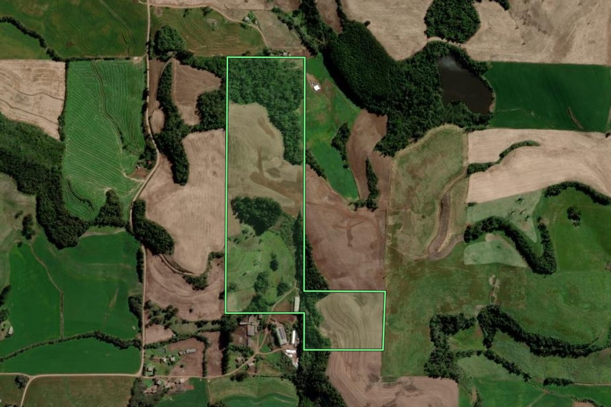 Imagem de satélite do imóvel rural em Ponte Preta (RS), com o contorno declarado no CAR desenhado por cima.