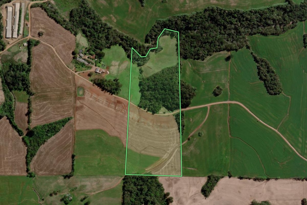 Imagem de satélite do imóvel rural em Ponte Preta (RS), com o contorno declarado no CAR desenhado por cima.