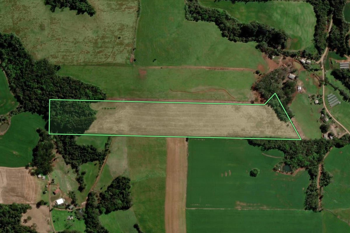 Imagem de satélite do imóvel rural em Ponte Preta (RS), com o contorno declarado no CAR desenhado por cima.