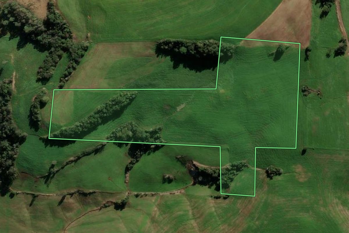 Imagem de satélite do imóvel rural em Ponte Preta (RS), com o contorno declarado no CAR desenhado por cima.