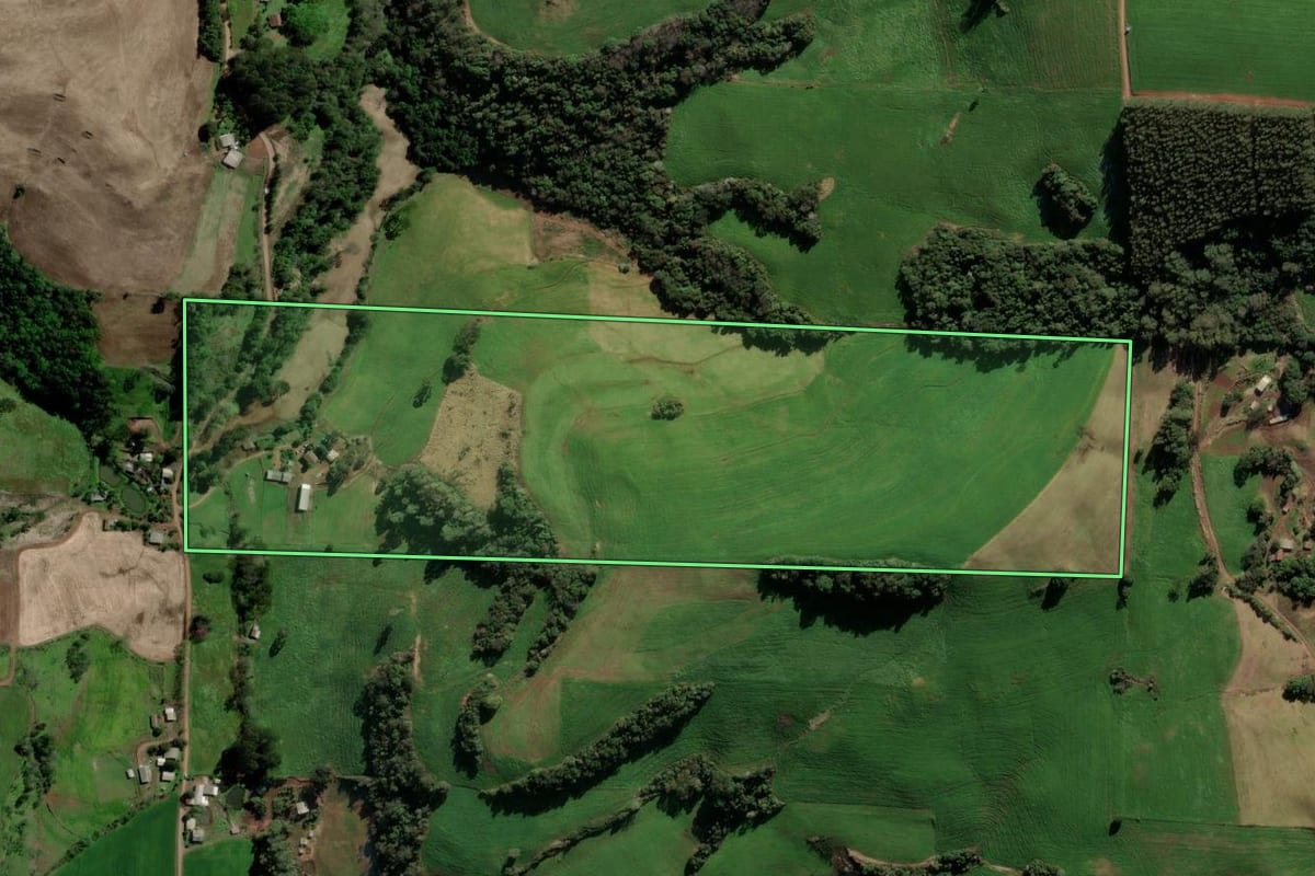 Imagem de satélite do imóvel rural em Ponte Preta (RS), com o contorno declarado no CAR desenhado por cima.