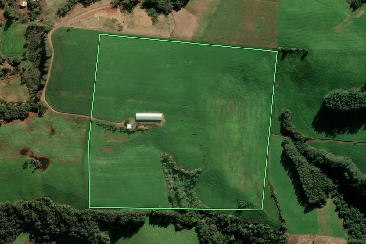 Imagem de satélite do imóvel rural em Ponte Preta (RS), com o contorno declarado no CAR desenhado por cima.
