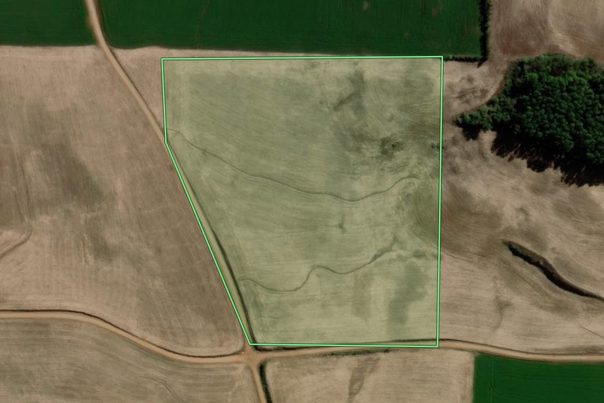 Imagem de satélite do imóvel rural em Ponte Preta (RS), com o contorno declarado no CAR desenhado por cima.