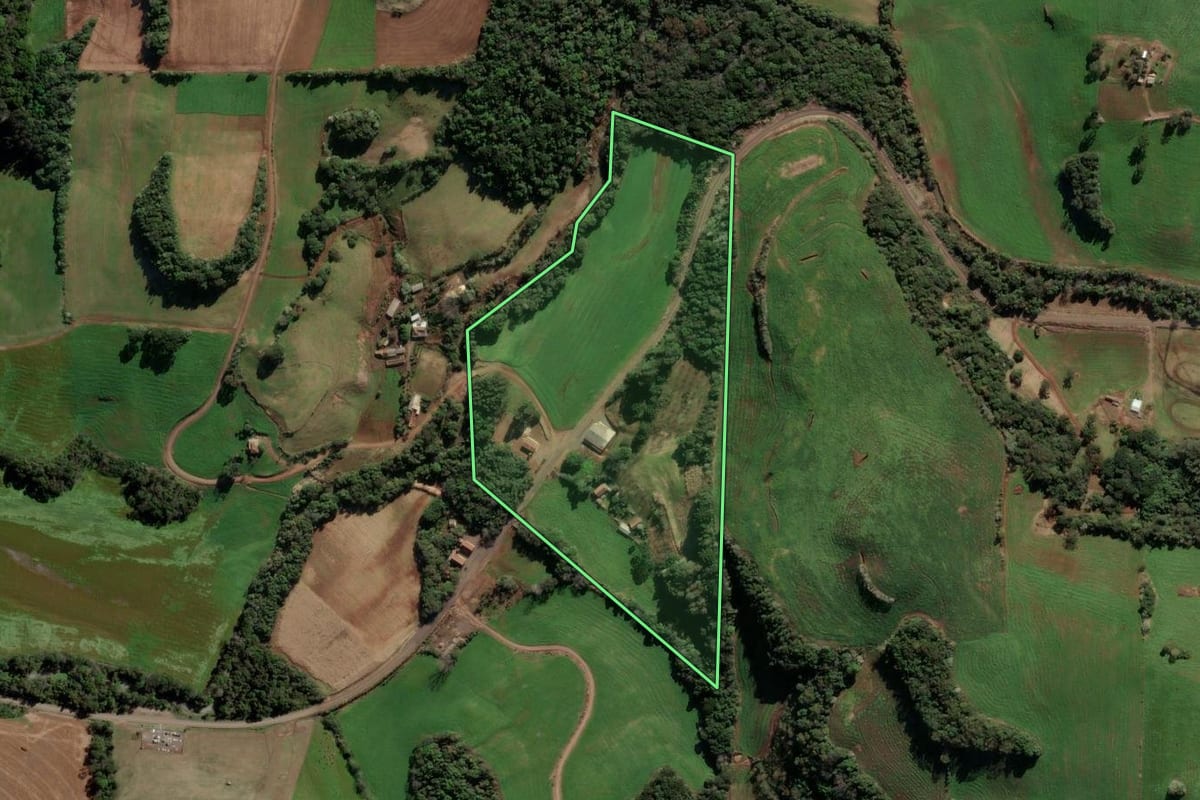 Imagem de satélite do imóvel rural em Ponte Preta (RS), com o contorno declarado no CAR desenhado por cima.