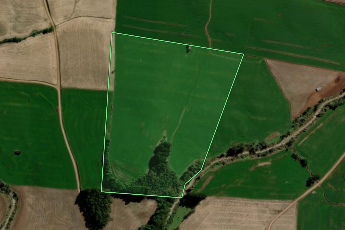 Imagem de satélite do imóvel rural em Ponte Preta (RS), com o contorno declarado no CAR desenhado por cima.